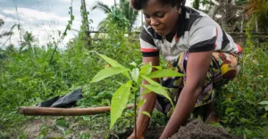 49063015758_e88e2571da_c